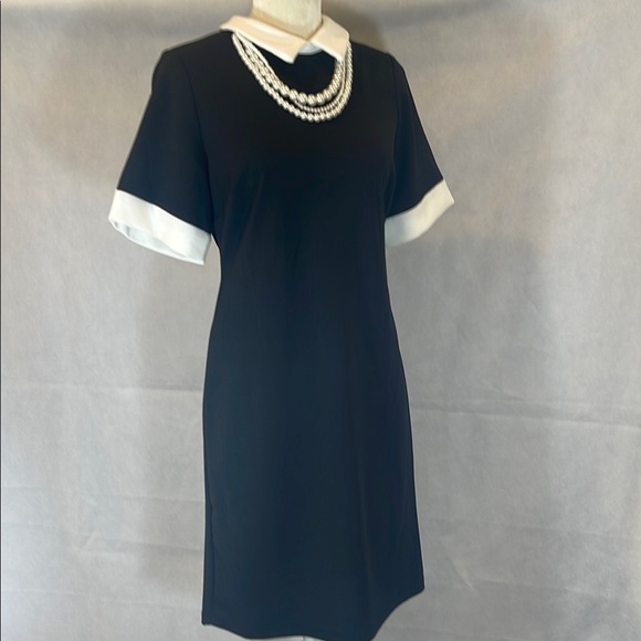 Elegant Black and White Dress - Picture 10 of 10